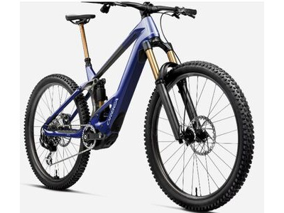 ORBEA WILD M10 Mullet Custom