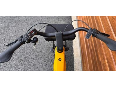 VELO DE VILLE SEB 990 Enviolo Automatiq with Belt Drive 53cm Melon Yellow Mat  click to zoom image