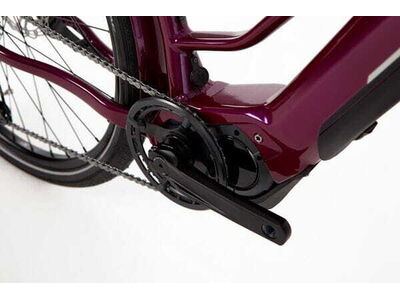 RIDGEBACK Advance 2W click to zoom image