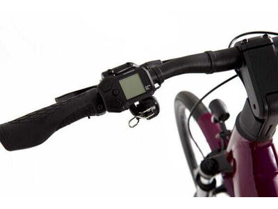RIDGEBACK Advance 2W click to zoom image