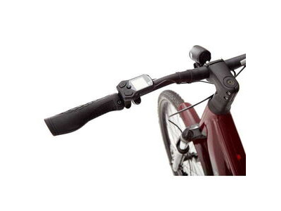 RIDGEBACK Advance 3W click to zoom image
