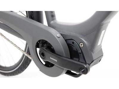 RIDGEBACK Electron S2 click to zoom image