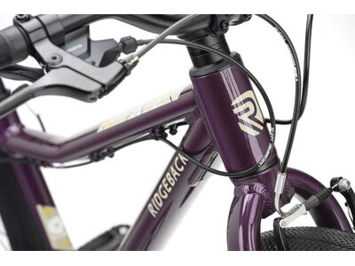 RIDGEBACK Dimension 24 Vanquish Violet click to zoom image