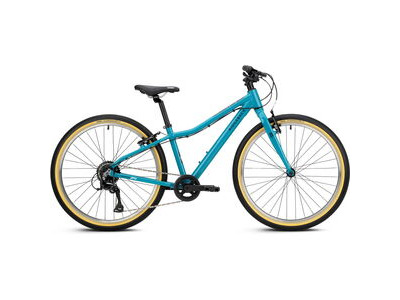 RIDGEBACK Dimension 24 Turbo Teal