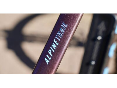 MARIN Alpine Trail 1 click to zoom image