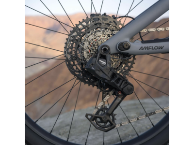 AMFLOW PR Carbon Pro LG click to zoom image